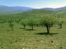 image-gallery