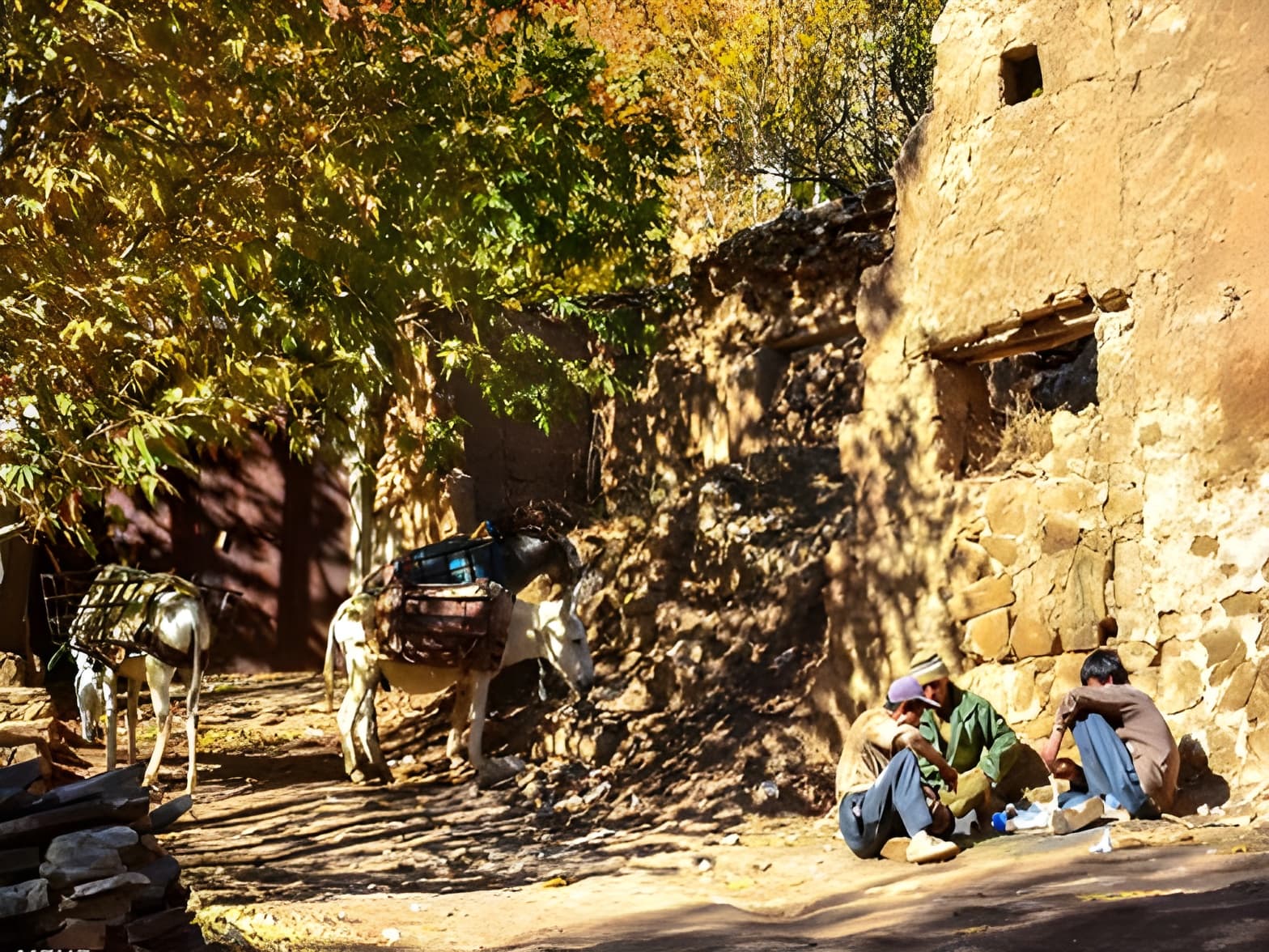 place-info-image