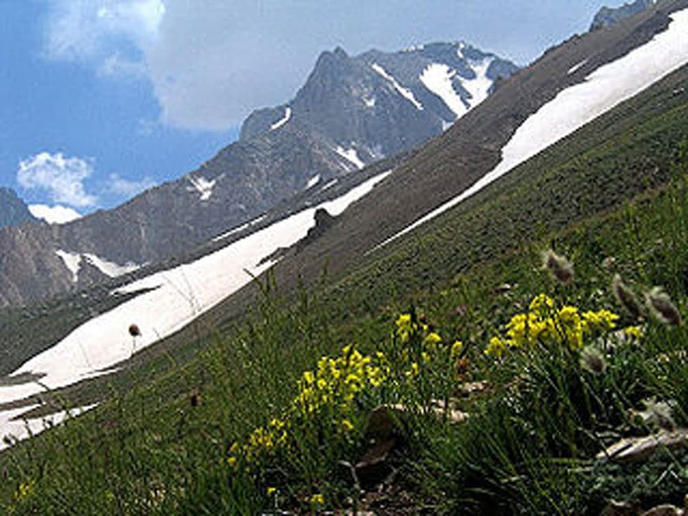place-info-image