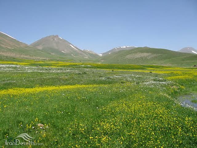 place-info-image