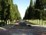 image-gallery