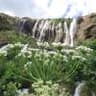 image-gallery