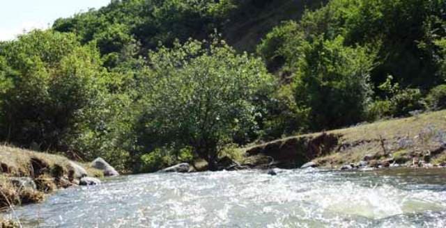place-info-image