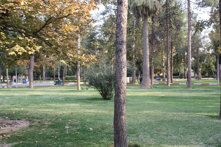 place-info-image