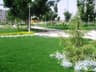 image-gallery