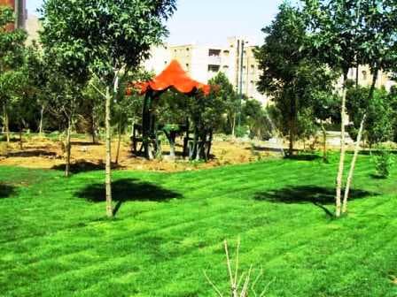 place-info-image