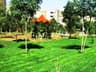 image-gallery