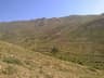 image-gallery