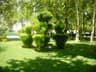 image-gallery