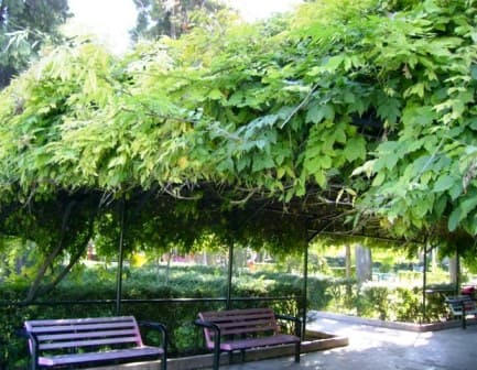 place-info-image