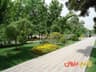 image-gallery