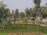 image-gallery