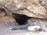 image-gallery