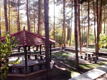 place-info-image
