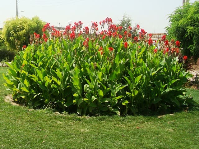 place-info-image