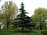 image-gallery