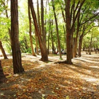 place-info-image