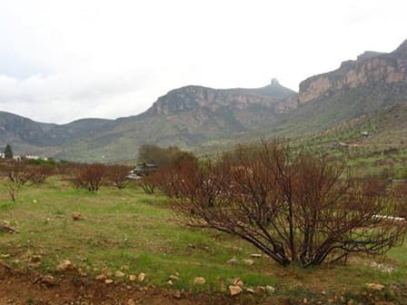 place-info-image