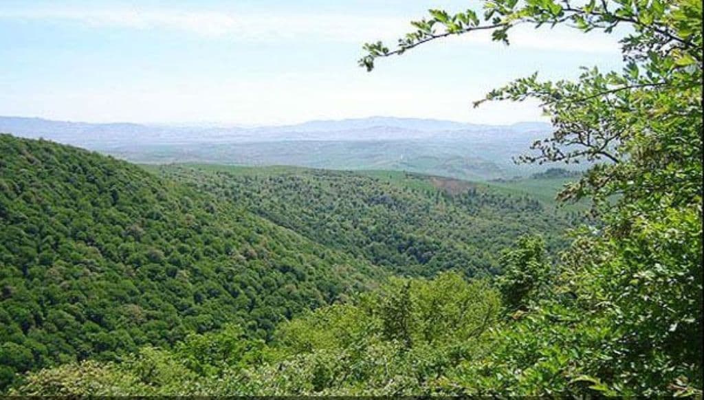 place-info-image