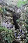 image-gallery