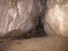 image-gallery