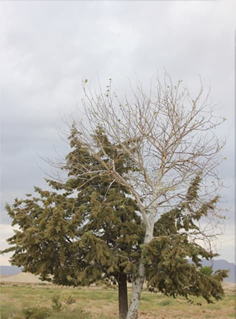 place-info-image