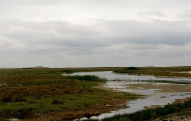 place-info-image