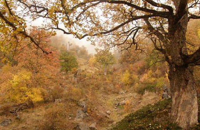place-info-image