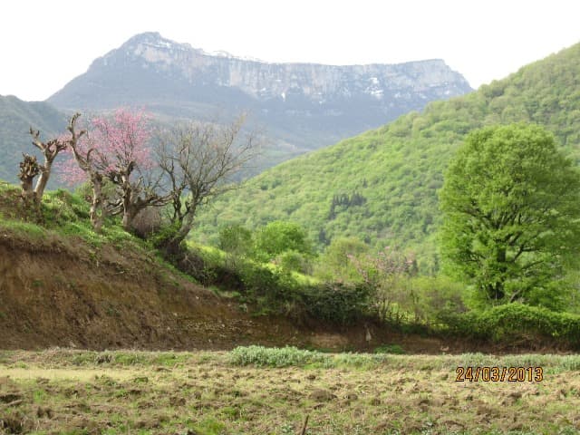 place-info-image