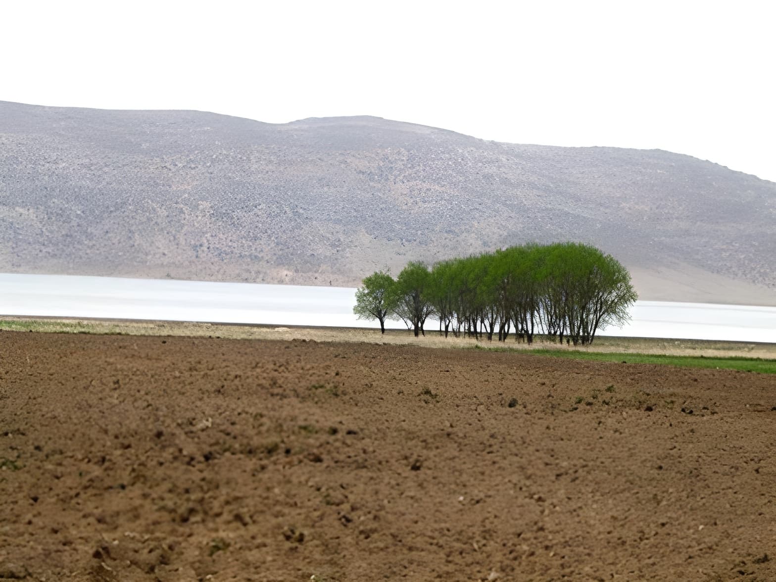 place-info-image