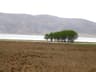 image-gallery