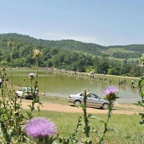 place-info-image