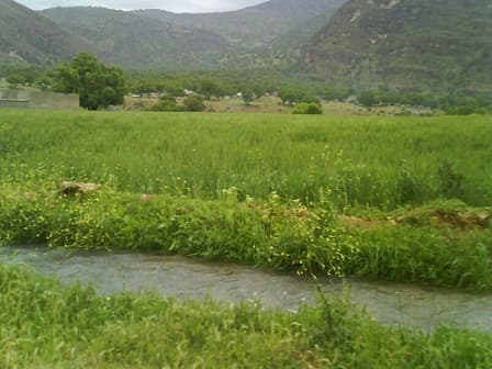 place-info-image