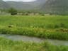 image-gallery