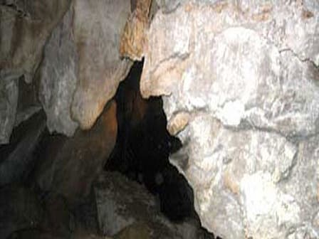 place-info-image