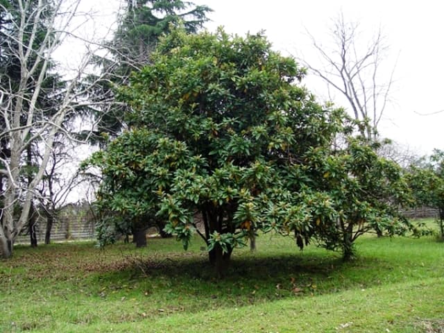 place-info-image
