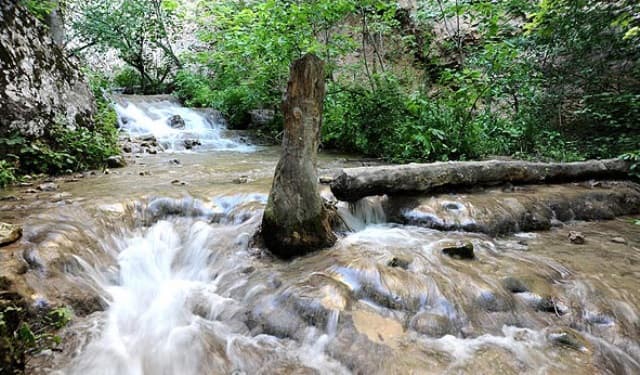 place-info-image