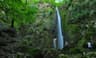 image-gallery
