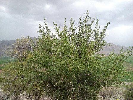 place-info-image