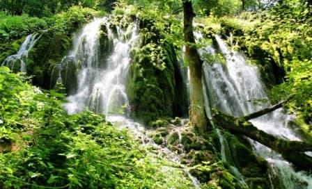 place-info-image
