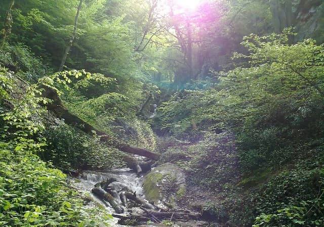 place-info-image