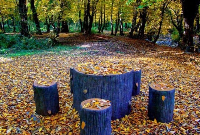 place-info-image