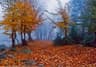 image-gallery
