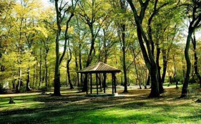 place-info-image