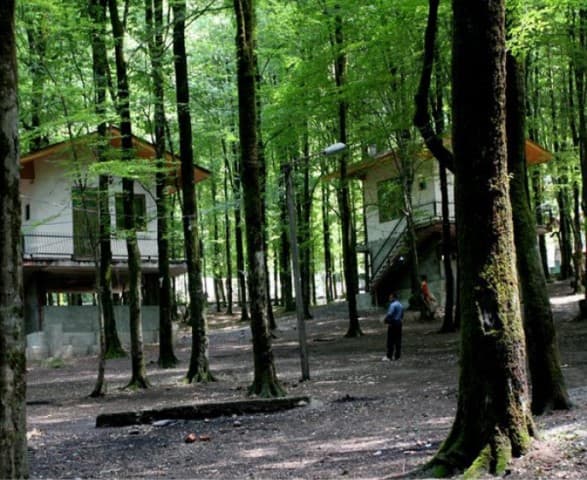 place-info-image
