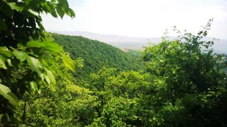 place-info-image